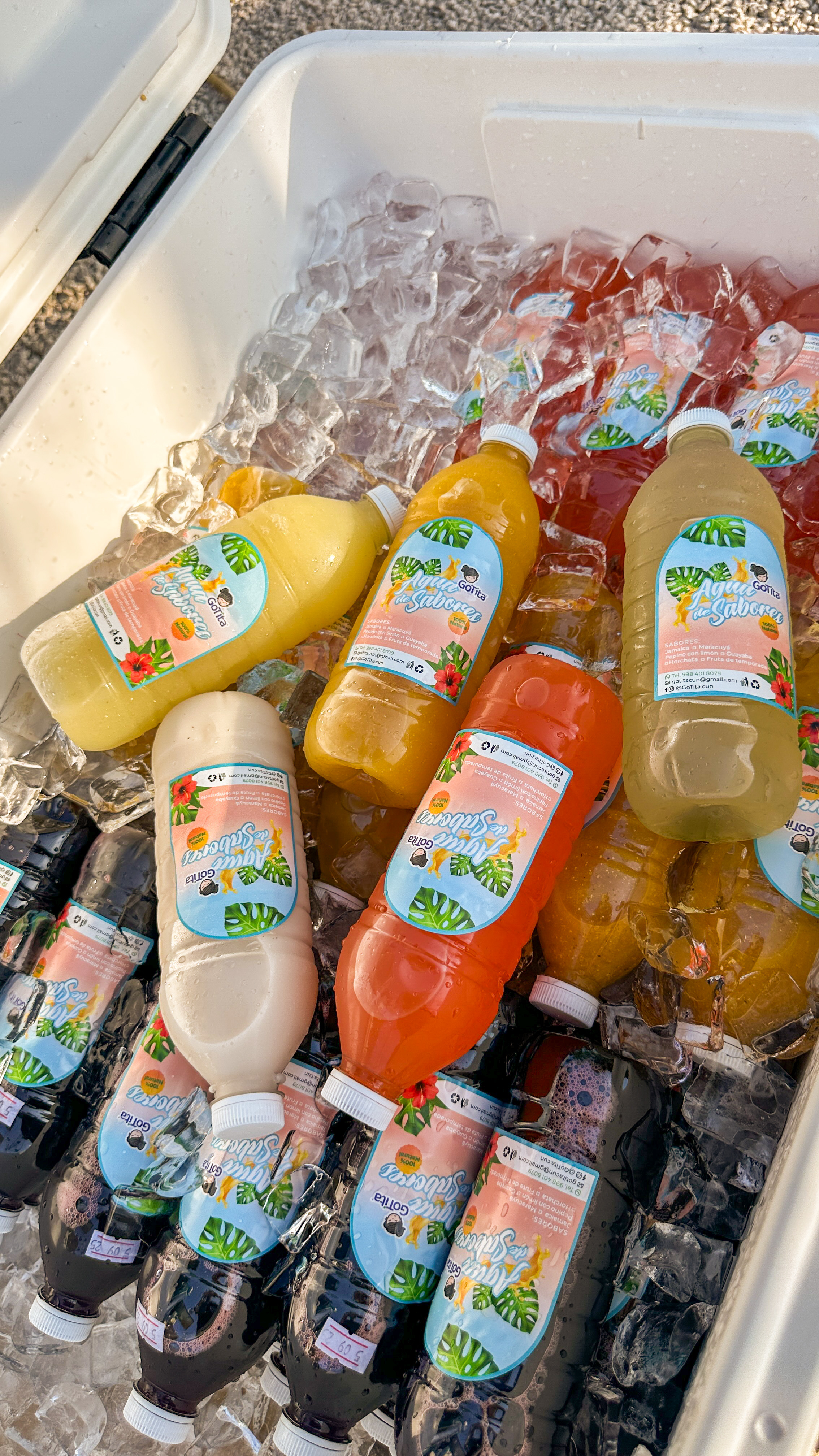 Aguas de Sabores Embotelladas GoTita